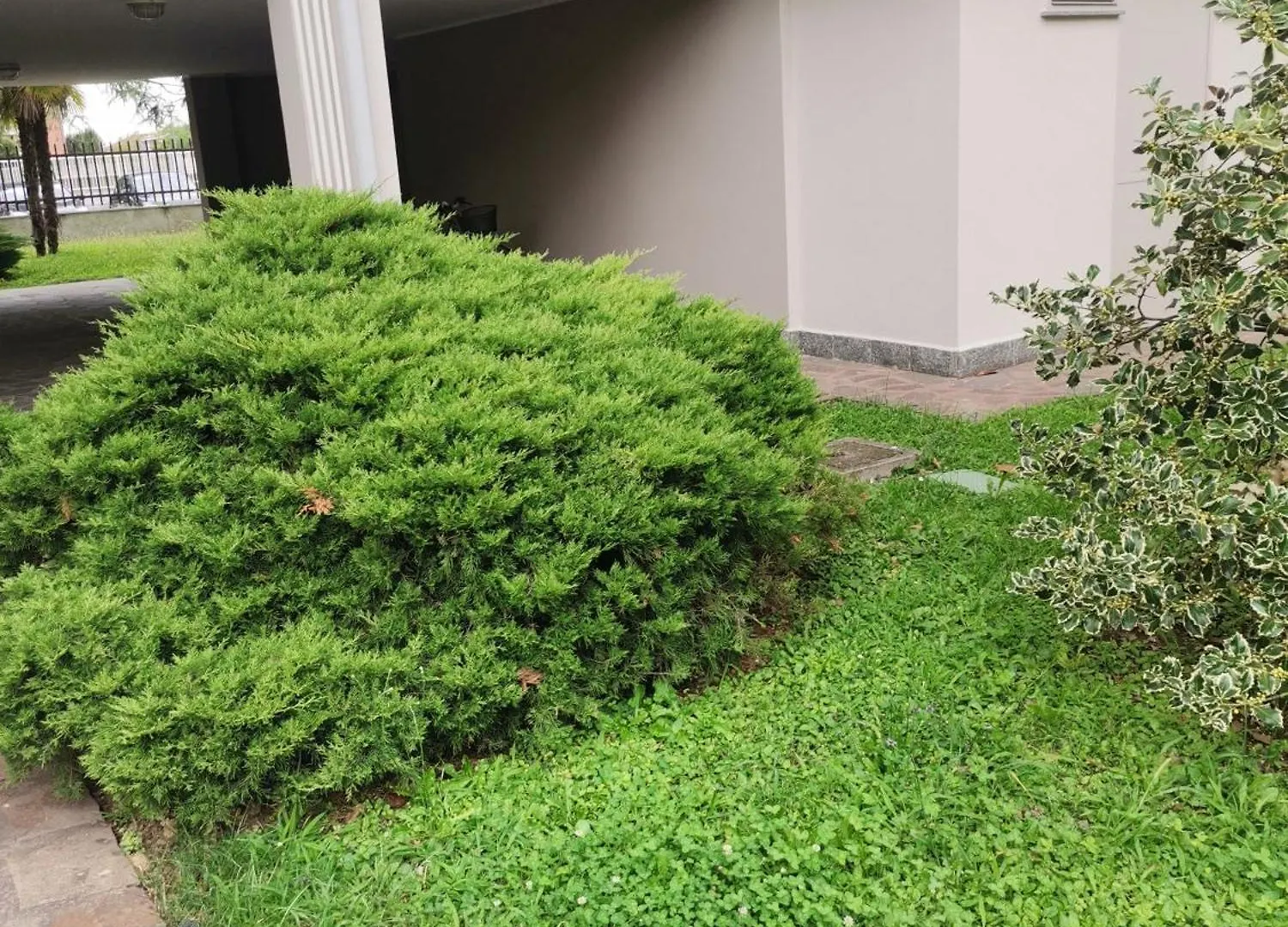 B&B Busto Garolfo